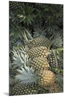Asia, Vietnam. Pineapples in the Hold of a Mekong River Boat, Can Tho-Kevin Oke-Mounted Premium Photographic Print