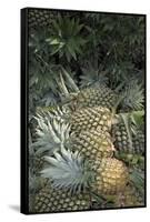 Asia, Vietnam. Pineapples in the Hold of a Mekong River Boat, Can Tho-Kevin Oke-Framed Stretched Canvas