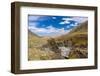 Asia, Western Mongolia, Bayan Olgii Province, Gashuun Suhayt. River Valley-Emily Wilson-Framed Premium Photographic Print