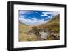 Asia, Western Mongolia, Bayan Olgii Province, Gashuun Suhayt. River Valley-Emily Wilson-Framed Photographic Print