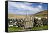 Asia, Western Mongolia, Bayan Olgii Province, Gashuun Suhayt. Stone Fence with Wooden Gate-Emily Wilson-Framed Stretched Canvas