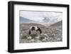 Asia, Western Mongolia, Khovd Province, Gashuun Suhayt. River Valley-Emily Wilson-Framed Photographic Print