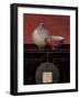 Asian Armoire - Noir-Arnie Fisk-Framed Art Print