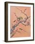 Asian Bird 1-Judy Mastrangelo-Framed Giclee Print