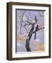 Asian Bird 2-Judy Mastrangelo-Framed Premium Giclee Print