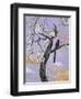 Asian Bird 2-Judy Mastrangelo-Framed Premium Giclee Print