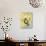 Asian Bird 3-Judy Mastrangelo-Giclee Print displayed on a wall