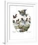 Asian Birds-Edouard Travies-Framed Art Print