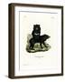 Asian Black Bear-null-Framed Giclee Print