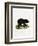 Asian Black Bear-null-Framed Giclee Print