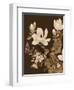 Asian Brocade II-Vision Studio-Framed Art Print