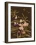 Asian Brocade IV-Vision Studio-Framed Art Print