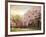 Asian Cherry Grove-Jessica Jenney-Framed Giclee Print