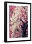 Asian Cherry-Jessica Jenney-Framed Giclee Print