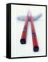 Asian Chopsticks-Peter Medilek-Framed Stretched Canvas