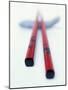 Asian Chopsticks-Peter Medilek-Mounted Photographic Print