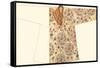 Asian Costume II-Vision Studio-Framed Stretched Canvas