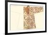 Asian Costume II-Vision Studio-Framed Art Print