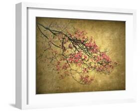 Asian Dogwood-Jessica Jenney-Framed Giclee Print