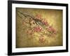 Asian Dogwood-Jessica Jenney-Framed Giclee Print