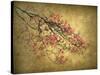 Asian Dogwood-Jessica Jenney-Stretched Canvas