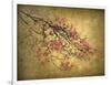 Asian Dogwood-Jessica Jenney-Framed Giclee Print