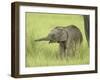 Asian Elephant,Corbett National Park, Uttaranchal, India-Jagdeep Rajput-Framed Photographic Print