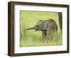 Asian Elephant,Corbett National Park, Uttaranchal, India-Jagdeep Rajput-Framed Photographic Print