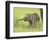 Asian Elephant,Corbett National Park, Uttaranchal, India-Jagdeep Rajput-Framed Photographic Print