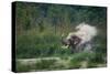 asian elephant dust bathing, bardia national park, terai, nepal-karine aigner-Stretched Canvas