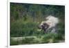 asian elephant dust bathing, bardia national park, terai, nepal-karine aigner-Framed Photographic Print