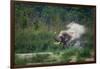 asian elephant dust bathing, bardia national park, terai, nepal-karine aigner-Framed Photographic Print