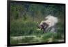 asian elephant dust bathing, bardia national park, terai, nepal-karine aigner-Framed Photographic Print