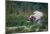 asian elephant dust bathing, bardia national park, terai, nepal-karine aigner-Mounted Photographic Print