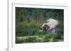 asian elephant dust bathing, bardia national park, terai, nepal-karine aigner-Framed Photographic Print