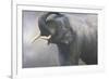 Asian Elephant Dusting-Jeremy Paul-Framed Giclee Print