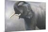 Asian Elephant Dusting-Jeremy Paul-Mounted Giclee Print