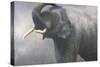 Asian Elephant Dusting-Jeremy Paul-Stretched Canvas