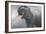 Asian Elephant Dusting-Jeremy Paul-Framed Giclee Print