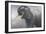 Asian Elephant Dusting-Jeremy Paul-Framed Giclee Print