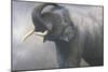 Asian Elephant Dusting-Jeremy Paul-Mounted Giclee Print