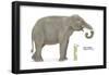Asian Elephant (Elephas Maximus), Mammals-Encyclopaedia Britannica-Framed Poster