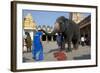 Asian Elephant (Elephas Maximus)-Axel Gomille-Framed Photographic Print