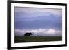 Asian Elephant in the Himalayan Foothills-null-Framed Photographic Print