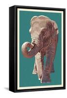 Asian Elephant-Lantern Press-Framed Stretched Canvas