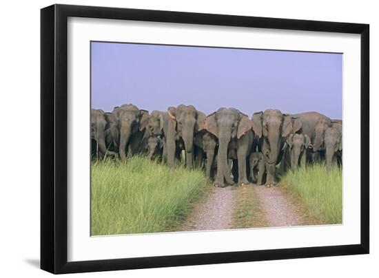 Premium Photographic Print, , large
