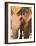 Asian Elephants Transportation, Ayuthaya, Thailand-Gavriel Jecan-Framed Photographic Print