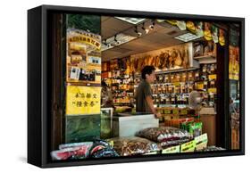 Asian Grocery Shop in Chinatown, New York City-Sabine Jacobs-Framed Stretched Canvas