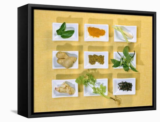 Asian Herbs and Spices-Christiane Krüger-Framed Stretched Canvas