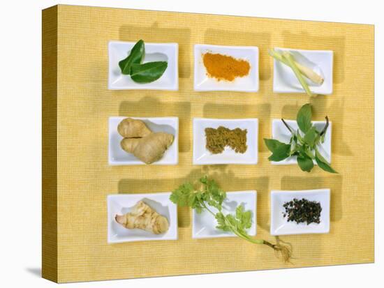 Asian Herbs and Spices-Christiane Krüger-Stretched Canvas